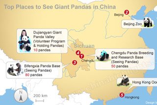 Tops Endroits De La Chine Pour Voir Pandas Geants Habitat De Panda En Chine Voyages Chine