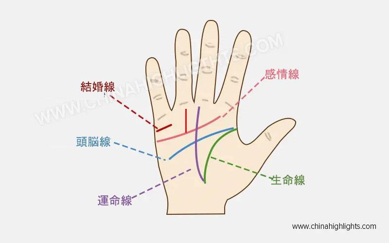 手相占い 手相の基本線の意味と手相の見方を図表で簡単にわかる Arachina中国旅行