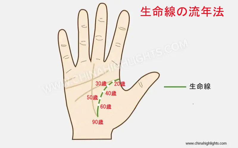 生命線 ショップ 2 本